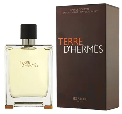 Productafbeelding van Terre D' Hermes Eau Intense Vetiver Eau De Toilette (100 ml)