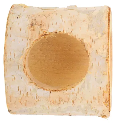 Produktbild von Hamstertunnel aus natürlichem Birkenholz mit 8 cm Durchmesser – Verstecktunnel für Hamsterkäfige als sicherer Rückzugsort und Aktivitätsröhre für kleine Haustiere