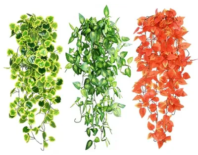 Immagine prodotto di 3 piante artificiali di edera per decorazioni da interno ed esterno