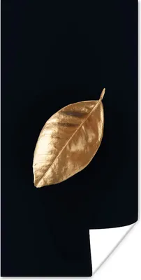 Produktbild von MuchoWow® Poster Blätter - Schwarz und Gold - Luxus - Natur - Pflanzen 60x120 cm - Wandschmuck