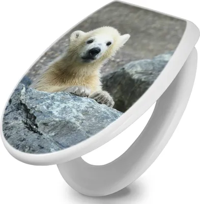 Zdjęcie produktu dla banjado deska sedesowa z mechanizmem soft close 37,3x45x5cm - polar bear baby - deska sedesowa soft close - higieniczna deska sedesowa z zawiasami ze stali nierdzewnej - łatwy montaż [TDW 10038]