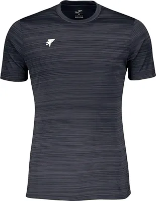 Image de T-shirt Joma 103042.171 pour Homme