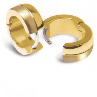 Produktbild von Boccia Titanium Creolen 0505-12