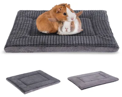 Produktbild von Orthopädisches Hundebett mit waschbaren Hundekissen