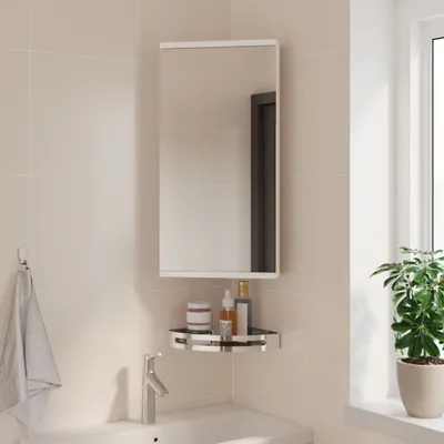 A bathroom scene featuring a wall-mounted mirror cabinet, a sink faucet, a corner shelf with toiletries, and a towel hanging on a hook.