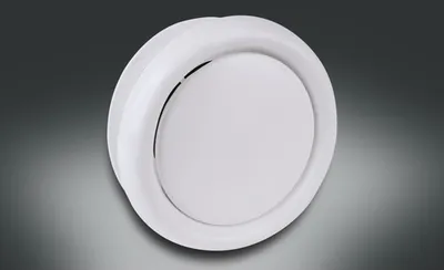 Produktbild von Rotheigner Tellerventil Kunststoff weiß NW 100 mm