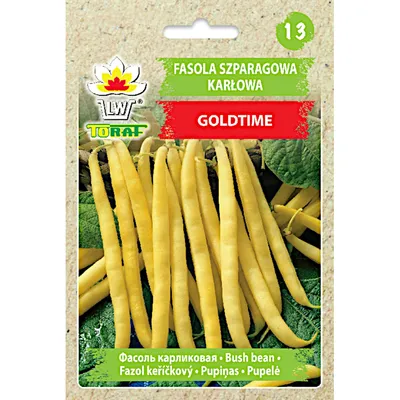 Image de Haricots jaunes nains GOLDTIME 40g Toraf