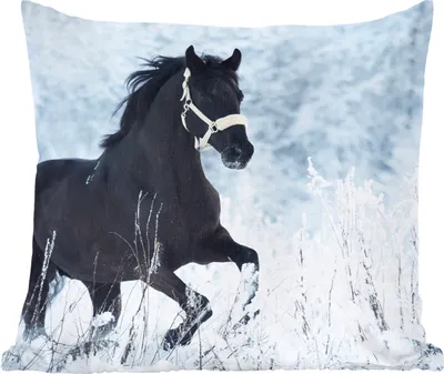 Produktbild von MuchoWow® Zierkissen Sofakissen Wohnzimmer Dekokissen 60x60 cm Pferd - Schnee - Winter - Sitzfläche - Foto Polster