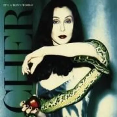 Produktbild von Cher-It's A Man's World