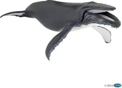 Zdjęcie produktu dla Papo 56001, 3 lat(a), Marine life, Czarny, Biały, PCW
