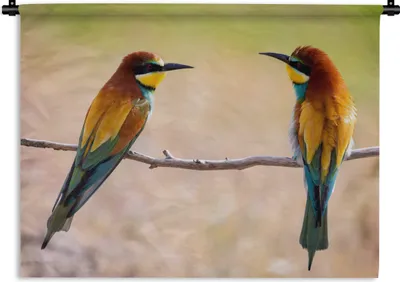 Produktbild von MuchoWow® Wandteppich Wandbehang Vögel - Bienenfresser - Tiere 90x67.5 cm Tapisserie Dekoration Wandtuch - Fototeppich - Wand-Skulpturen