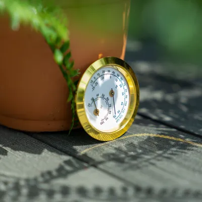 Produktbild von Vitavia Hygrometer für Gewächshäuser gold