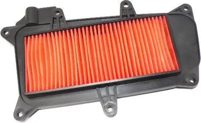 Immagine prodotto di Filtro aria per KYMCO Like 125 20 LX 2009-2012