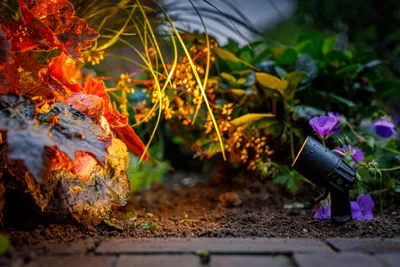 Productafbeelding van Neso Garden Lights