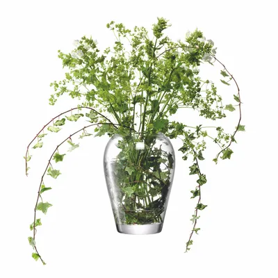 Produktbild von LSA | Vase FLOWER, klar, H25cm