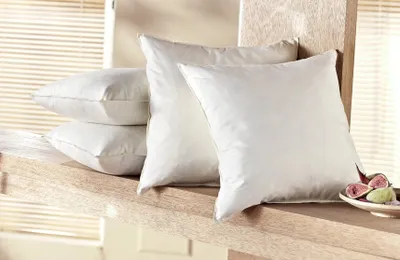 Produktbild von Federkissen Set Sofakissen 40x40  2 Stück