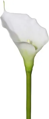 Produktbild von artplants.de Dekoblume Calla GOLMA, weiß, 70cm - Kunstpflanze Calla
