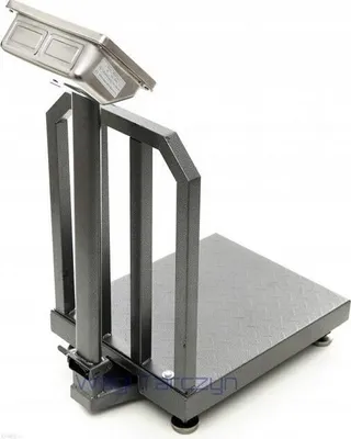 Image de Poids De La Plate-Forme Wt-1040 300 Kg