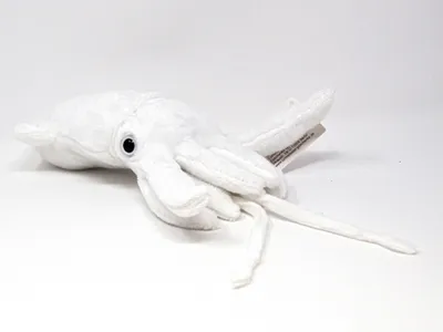 Immagine prodotto di Cornelissen - Peluche - polpo bianco - 24 cm