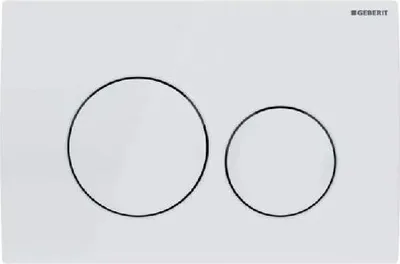 A white flush plate with two circular buttons for a toilet.