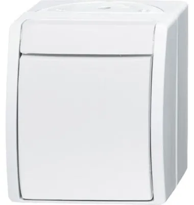 Immagine prodotto di Commutatore Busch-Jaeger 2601/6 W-54