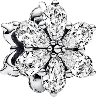 Immagine prodotto di Ciondolo Pandora Sparkling Herbarium Cluster 792623C01