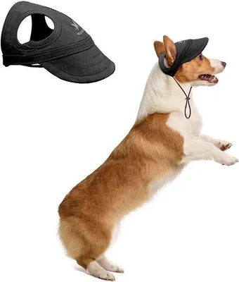 Immagine prodotto di Hundesportpet, regolabile, taglia M, nero, per cani di taglia piccola e media.