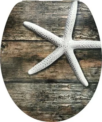 Produktbild von form&style WC-Sitz MDF Sculpture Seastar mit Absenkautomartik und leicht abnehmbar