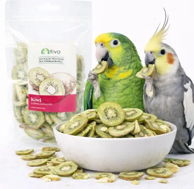 Obrázek produktu pro Křupavé lyofilizované kiwi pro papoušky – přírodní ovocná pochoutka | 20 g