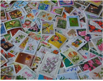 Produktbild von 200 Blumen