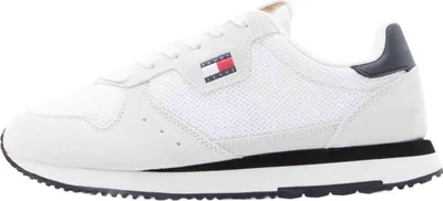 Obrázek produktu pro Tommy Hilfiger Sneakers EM0EM01690-AEP in STONE color size 43