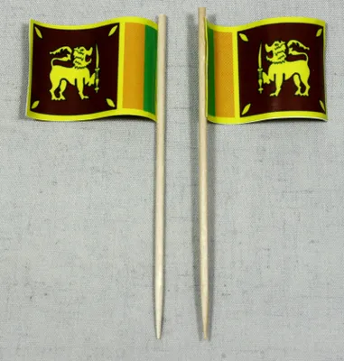 Produktbild von Party-Picker Flagge Sri Lanka Papierfähnchen in Spitzenqualität 25 Stück Beutel
