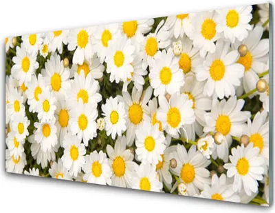 Imagen del producto de Panel de vidrio para cocina, 100x50 cm, protector contra salpicaduras, diseño de margaritas y plantas