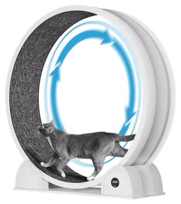 Image de Roue d'entraînement pour chats - 114 cm - Fonctionnement silencieux - Avec podomètre - Tapis amovible - Blanc