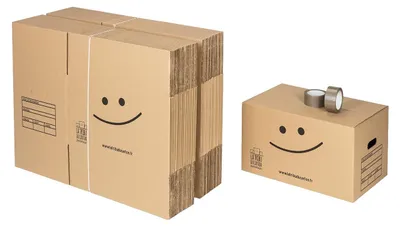 Produktbild von Set mit 40 Standardkartons mit Tragegriffen + 2 Klebebänder gratis