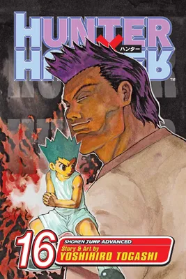 Produktbild von Hunter X Hunter, Vol. 16