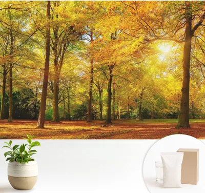 Obrázok produktu pre Samolepiaca fototapeta – 104 x 70 cm – tapeta – nástenná tapeta – nástenné obrazy – samolepiaca fólia – dekoratívna fólia – tapetová fólia – stena – dekorácia – obývacia izba – zlaté listy