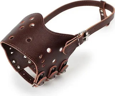 Image de Muselière en cuir pour chien - Marron S