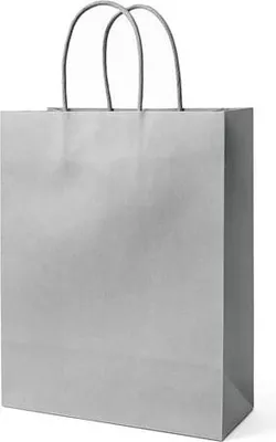 Obrázek produktu pro Rašelina 340x140x395 / SILVER
