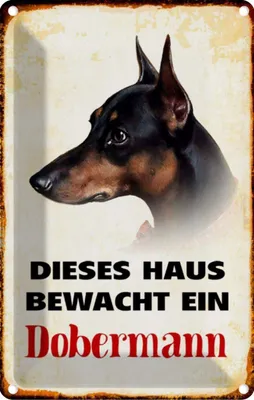 Produktbild von vianmo Blechschild 18x12 cm Hund dieses Haus bewacht ein Dobermann Tier Haustier