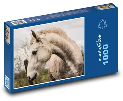 Zdjęcie produktu dla Puzzle 1000 Piękno dzikiego konia - martinpuzzle