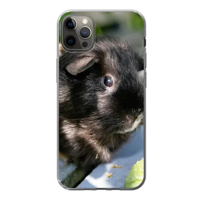 Produktbild von MuchoWow® Handyhülle Schutzhülle Hülle für iPhone 13 Pro Max Meerschweinchen im Garten Silikon Softcase Handy Hülle - Mobiltelefon