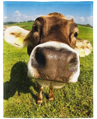 Obrázok produktu pre Mäkká prikrývka z flanelu, 150 x 200 cm
