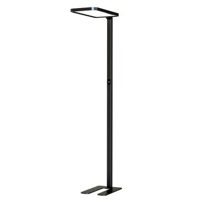 Produktbild von DOTLUX LED-Stehleuchte STUDIObutler 80W 4000K dimmbar, schwarz