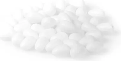 Image de Oeufs pour Perroquets Blancs - 1 pc