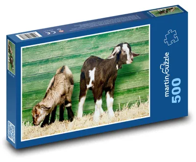 Zdjęcie produktu dla martinpuzzle - Puzzle 500 - Małe koźlęta na farmie