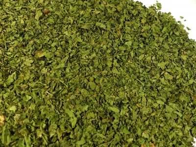Produktbild von Korianderblätter Naturideen® 100g