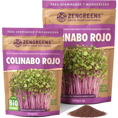 Imagen del producto de ZenGreens® Semillas Eco para Germinar Colinabo Rojo 200 g – Brotes y Microgreens