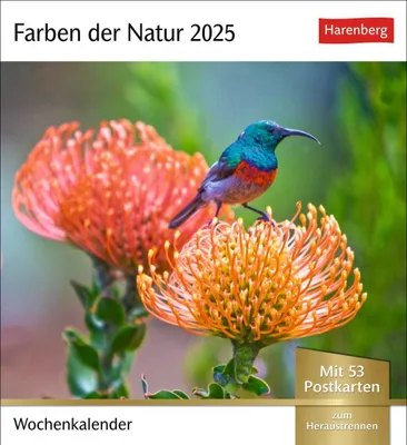 Produktbild von Farben der Natur Postkartenkalender 2025 - Wochenkalender mit 53 Postkarten