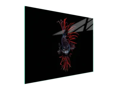 Produktbild von Glas-Schneidebrett 52x40 cm, Fischdesign, kratzfest und hygienisch